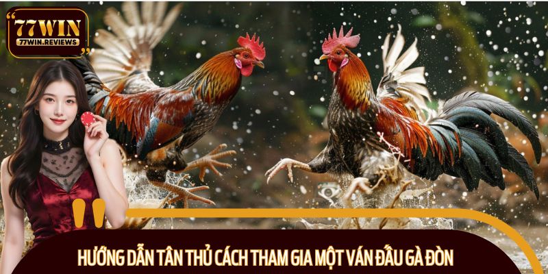 Hướng dẫn tân thủ cách tham gia một ván đấu gà đòn